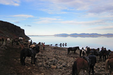 Iceland-Iceland Shorts-Horse Round Up in Iceland